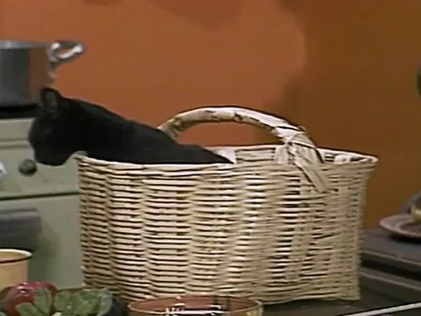El Chavo del 8