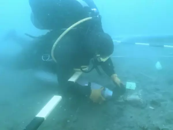 Tesoros bajo el agua