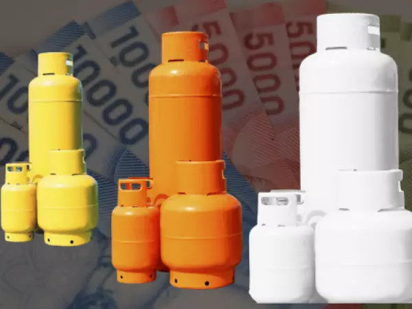 Subsidio gas licuado 2026: Revisa cómo puedes acceder al beneficio