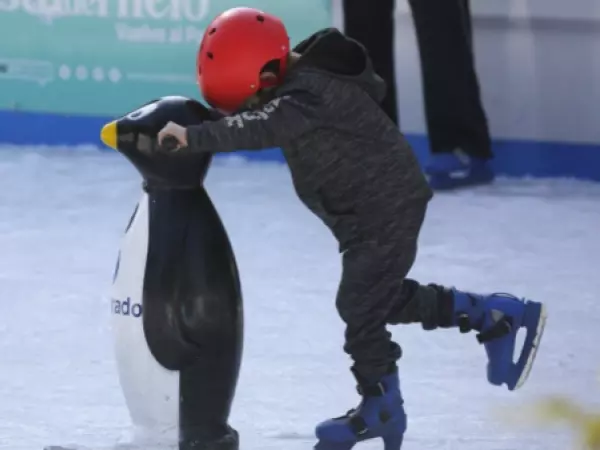 Vacaciones de invierno 2026: Revisa cuándo serán en tu región