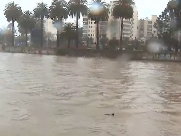 Así está el estero Marga Marga: crecida del caudal activa alerta SAE en Viña del Mar