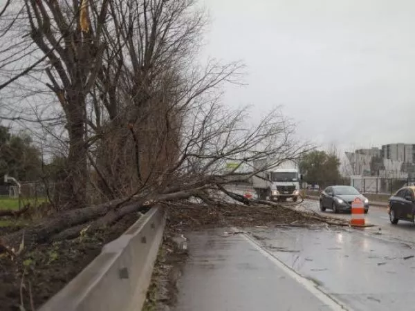 Emiten alerta por fuertes vientos en seis regiones: ráfagas podrían llegar a los 100 km/h