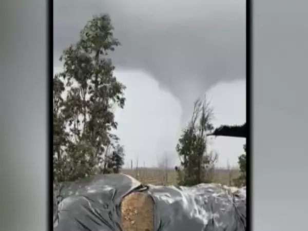 Video muestra impactante tornado en la región de Ñuble